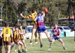 footy_292290_03.jpg