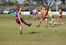 Tigers have homework to do to progress further