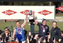 Seagulls cause premiership boilover