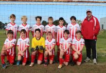 Eagles to soar once again