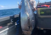 Fishing heats up as spring arrives