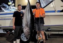 Barrel tuna on the chew off Barwon Heads