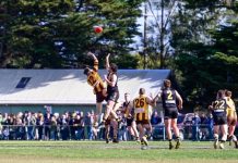 Tigers hold on in epic