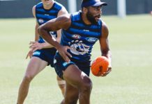 Cats load up on talent