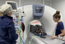 World-class veterinary referral hospital