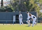 cricket_301440_02.JPG