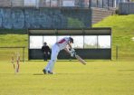 cricket_301440_06.JPG