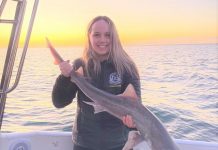 Snapper proving popular