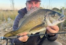 Bream reports promising