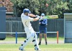 cricket_223979_03.jpg