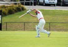 Rhodes blasts another ton