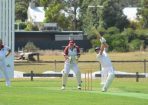 cricket_271198_09.JPG
