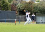 cricket_307913_08.JPG