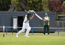 Finally, a great day for cricket