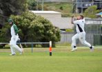 cricket_310109_16.JPG