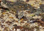 birds_310192_03.jpg