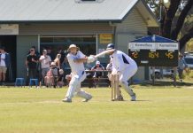 Sun’s out for local cricketers