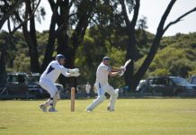 ‘Jacko’ bats Gulls to dominant position