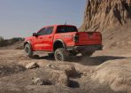 raptor_310621_03.jpg