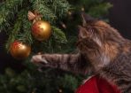 xmastree_201212_02.jpg
