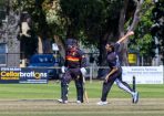 cricket_312070_09.JPG