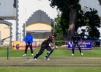 cricket_312070_12.JPG