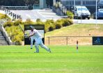 cricket_315527_11.JPG