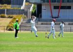 cricket_315527_16.JPG
