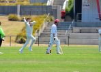 cricket_315527_19.JPG