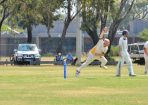 cricket_315527_20.JPG