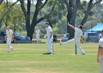 cricket_315527_23.JPG