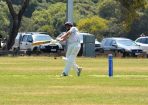 cricket_315527_24.JPG