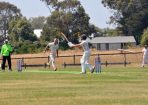 cricket_315527_28.JPG