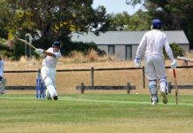 Cricket season races towards finals