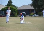 cricket_316441_11.JPG