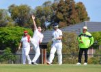 cricket_316441_16.JPG