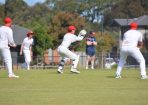 cricket_316441_21.JPG