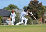 cricket_316441_27.JPG