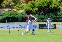 Sharks dumped from top four