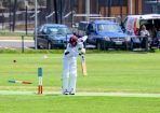 cricket_317730_06.JPG