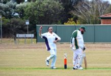 Windy weather proves tricky for local cricketers