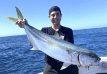 Kingfish begging to be caught