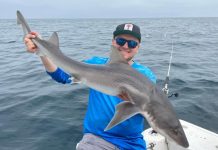 Kings are still talk of the town