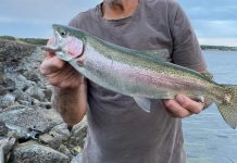 Land-based fishing in the bay proving successful