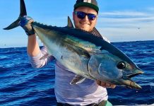 Follow the birds for bait fish