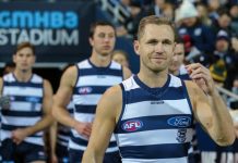 Cats Premiership captain returns in new off-field role