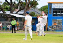 Seagulls win flag to earn promotion