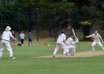 cricket_325809_17.JPG