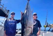 Portland barrels on fire