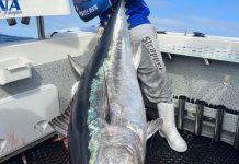 Outer harbour producing results